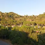 Rosa Amparo * Córdoba