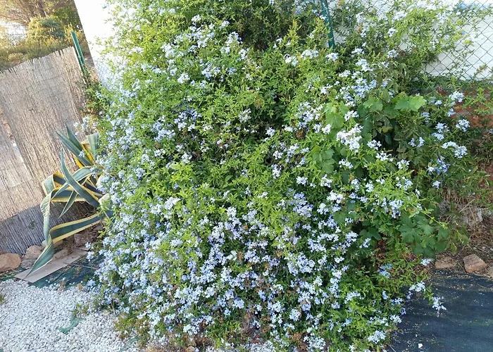 بيت للعطل Rosa Amparo *