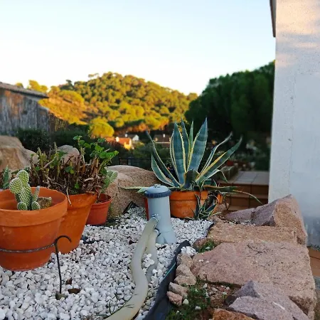 Casa vacanze Rosa Amparo