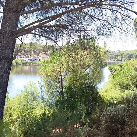 Rosa Amparo * Córdoba