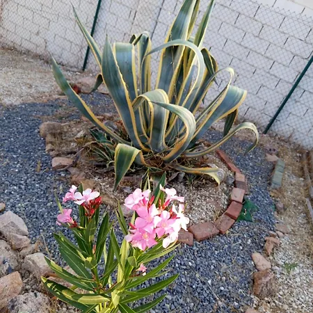 Rosa Amparo Ferienhaus