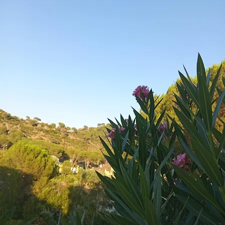 Ferienhaus Rosa Amparo