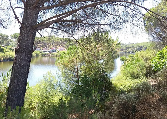 Rosa Amparo * Córdoba