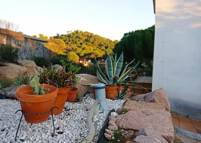 Hébergement de vacances Rosa Amparo