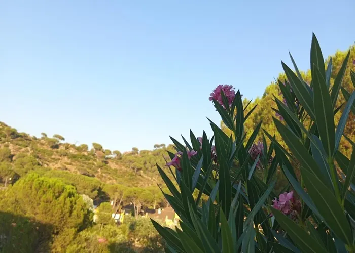 Hébergement de vacances Rosa Amparo