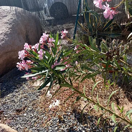 Rosa Amparo Córdoba