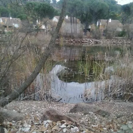Holiday home Rosa Amparo Cordoba