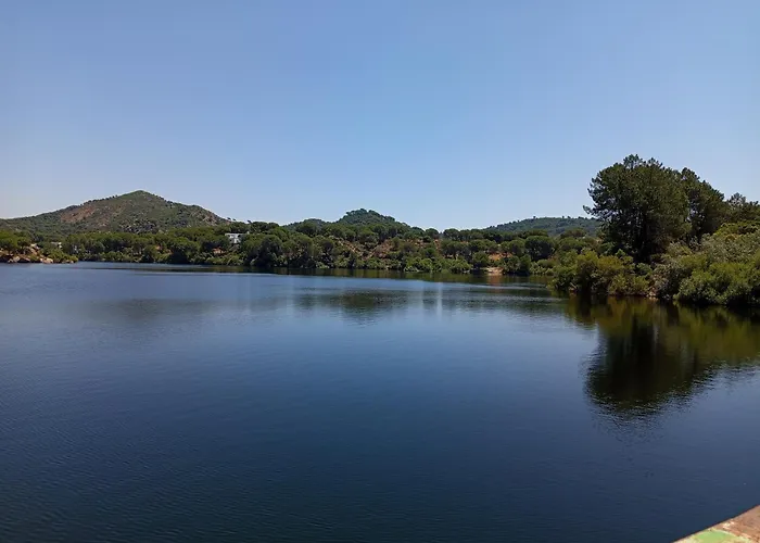 Rosa Amparo קורדובה