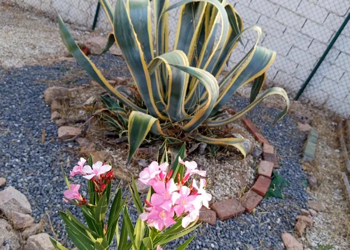 Rosa Amparo בית נופש